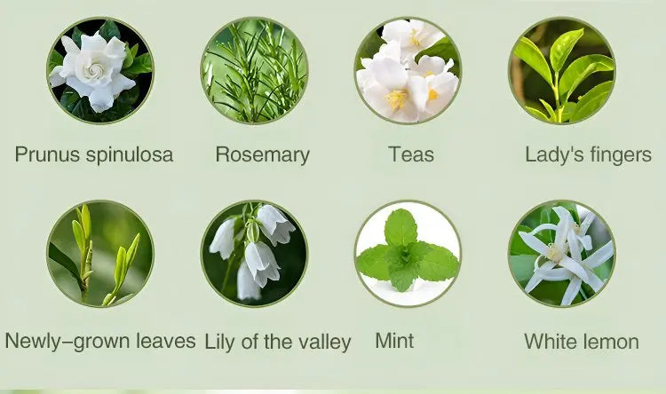 Smart Desktop Aromatherapy Oil Diffuser – Portable USB Air Purifier