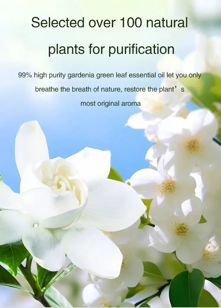 Smart Desktop Aromatherapy Oil Diffuser – Portable USB Air Purifier